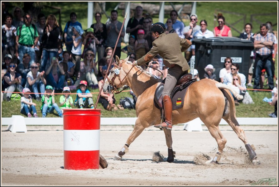 Pferd International 145